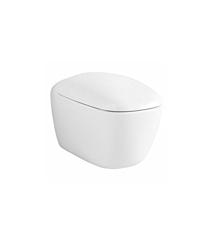 Pozzi Ginori Citterio WC Vaso Sospeso con Sedile Soft-Close