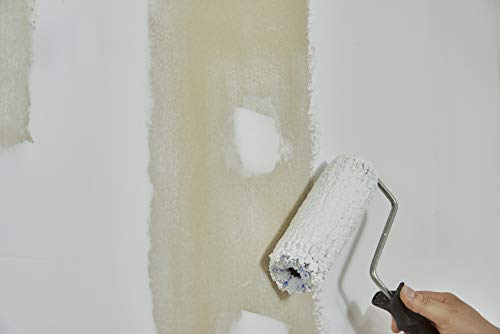 Knauf Vernice per cartongesso, opaca, per interni verniciare cartongesso, pronta all'uso, traspirante, senza solventi, conforme ai VOC, colore in fibra di gesso, 6 l, bianco