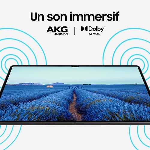 Tablet Touch - SAMSUNG - Galaxy Tab S9 Ultra - 14.6 - RAM 12GB - 256 GB - Antracite - S Pen inclusa