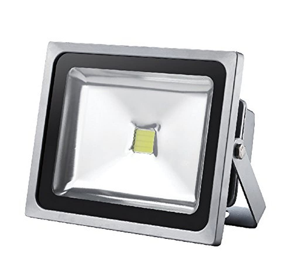 Electraline 363410 Proiettorea LED 30W, Alluminio