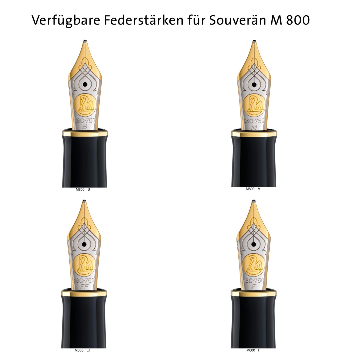 Pelikan M 800 Penna stilografica Souveraen 800 pennino F in oro bicolore, in confezione regalo