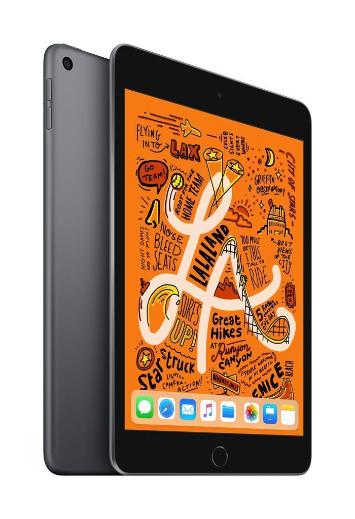 2019 Apple iPad Mini (7,9-pollici, Wi-Fi, 64GB) Grigio Siderale (Ricondizionato)