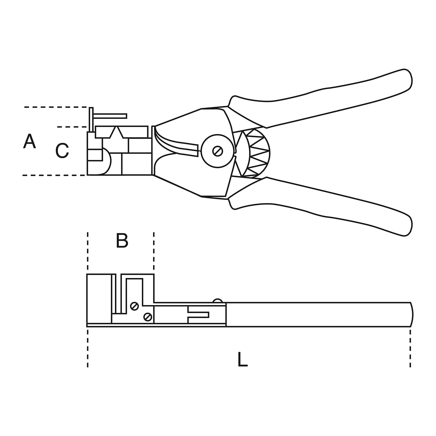 Beta 1143 0,5-6 - Pinza spellafili