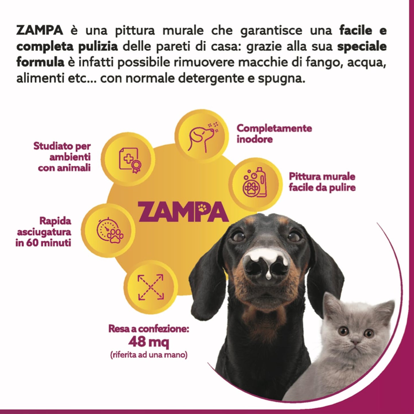 Maxmeyer, Pittura per interni Zampa Bianca ideale per ambienti con animali domestici - soluzione pronta all'uso, facile da applicare, ad asciugatura rapida e smacchiabile, 4 litri