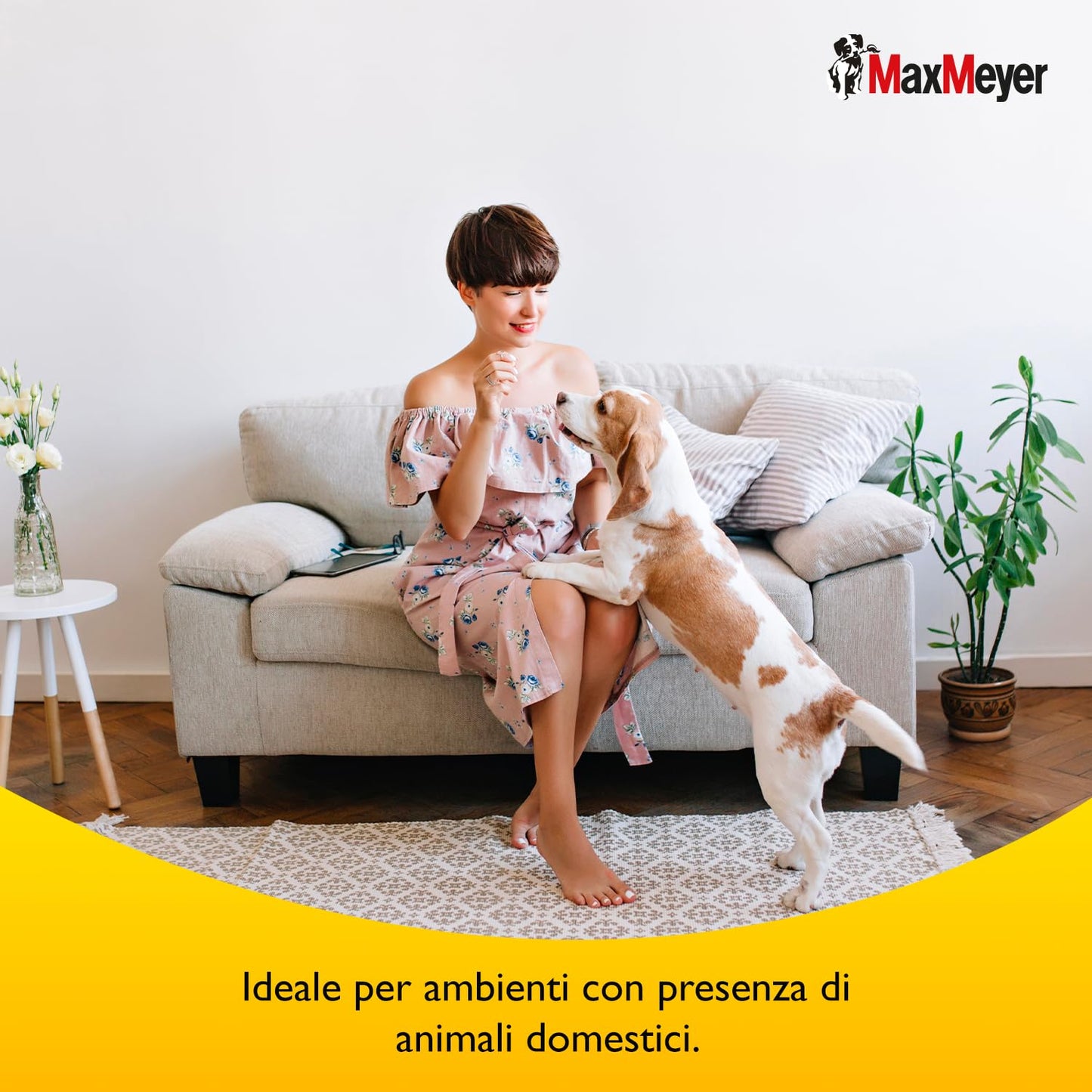 Maxmeyer, Pittura per interni Zampa Bianca ideale per ambienti con animali domestici - soluzione pronta all'uso, facile da applicare, ad asciugatura rapida e smacchiabile, 4 litri